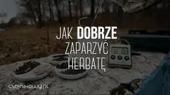 Jak prawidłowo parzyć herbatę liściastą? Poradnik krok po kroku dla początkujących